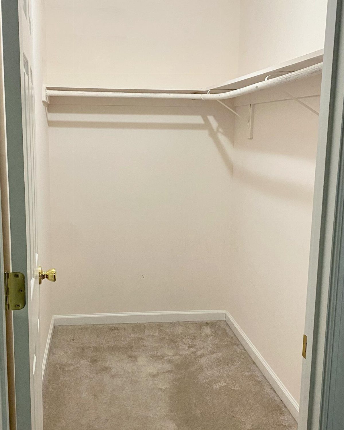 Empty walk-in closet with white walls, beige carpet, and a high wire shelf.