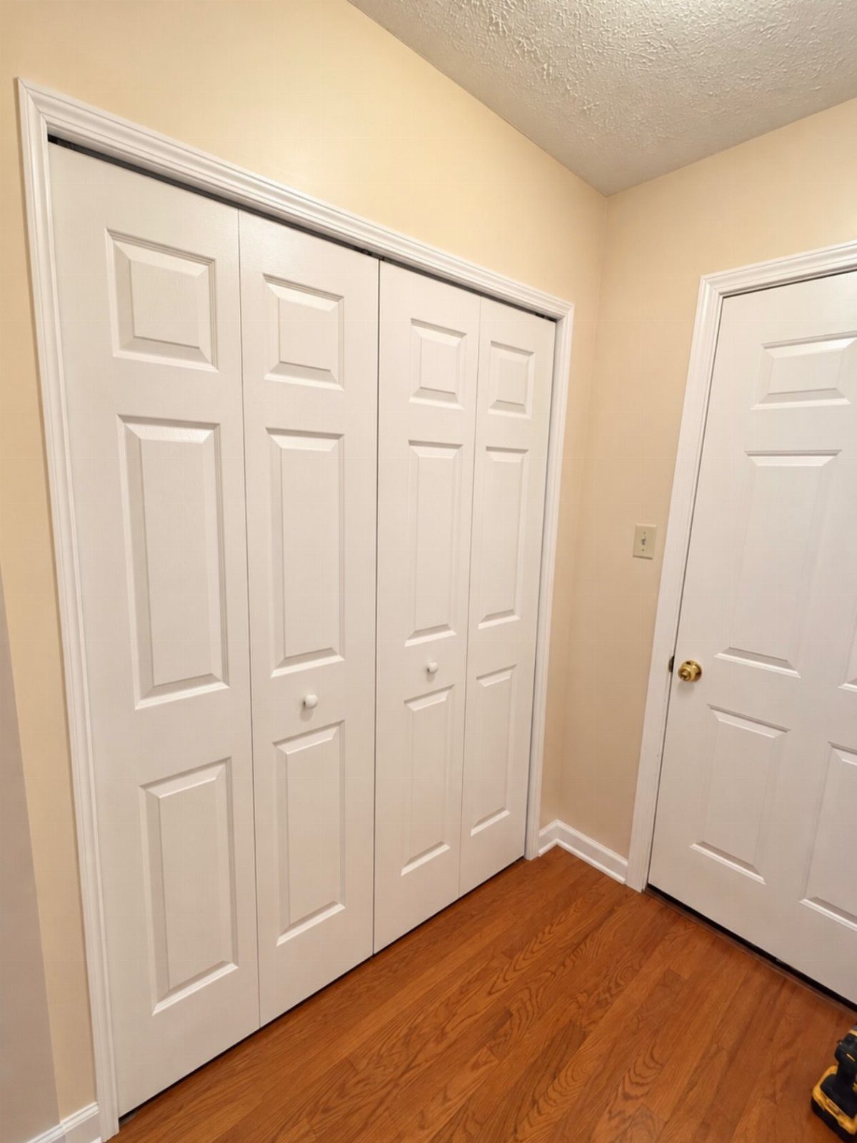 White paneled bifold closet doors and a single door on hardwood floors.